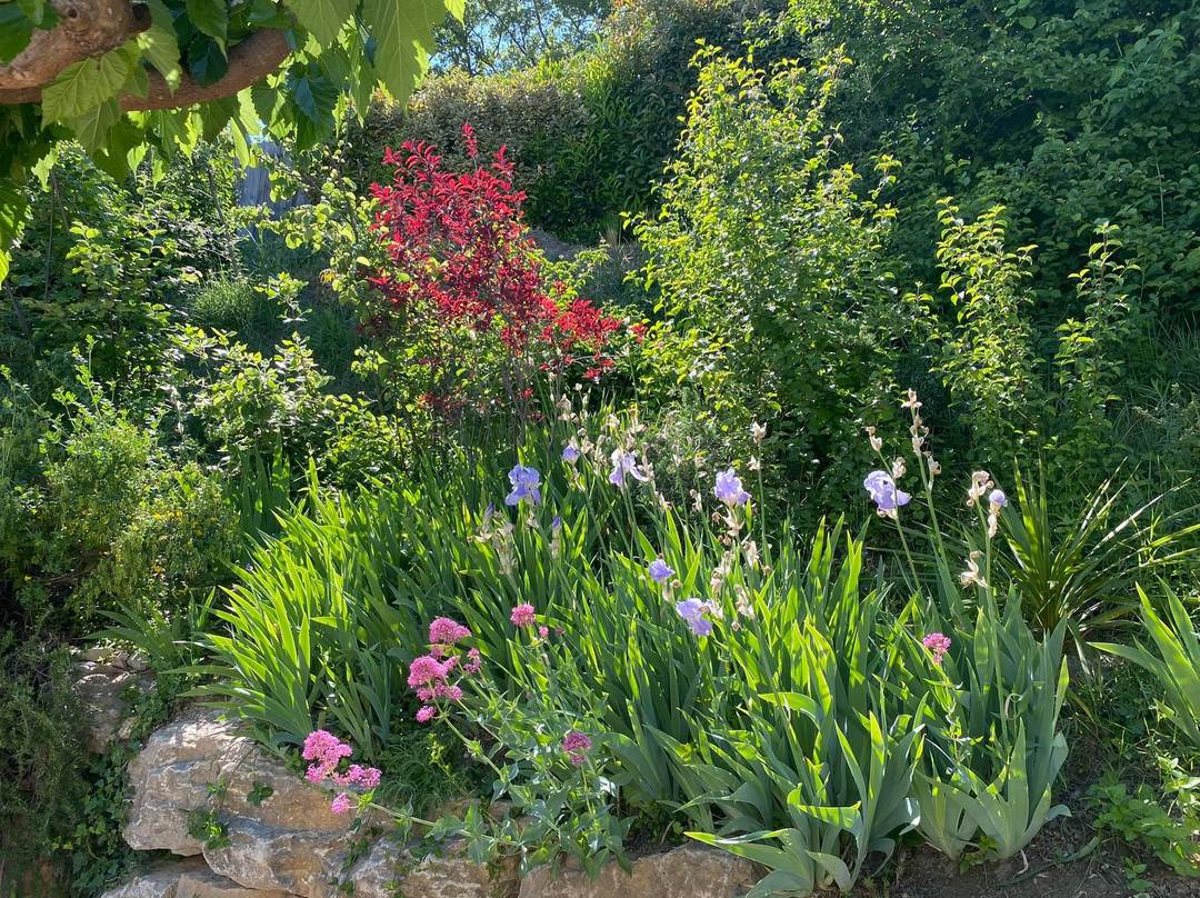 Le Jardin de Lau主图