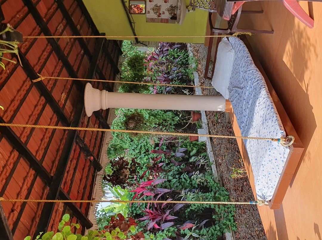 Backwater Heritage Homestay主图