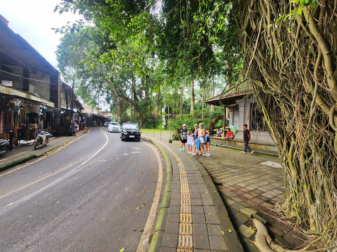 Awesome Bali Cycling-金塔马尼必去景点