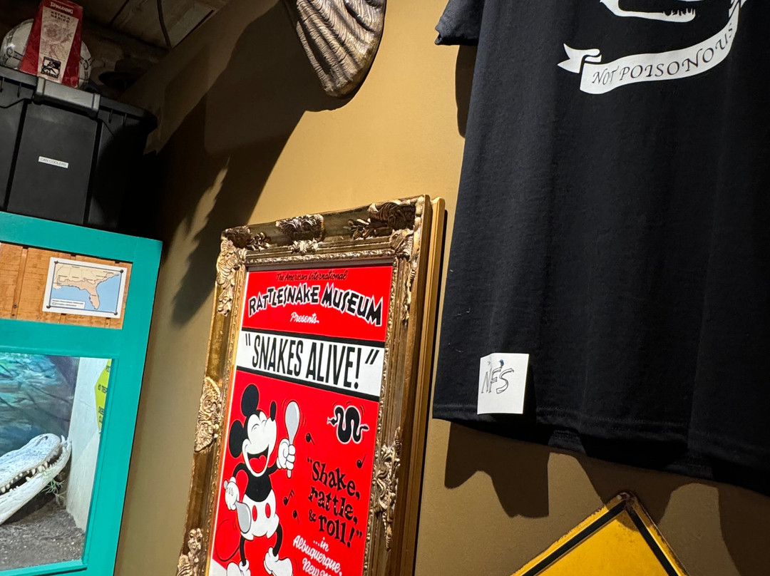 American International Rattlesnake Museum-阿尔伯克基必去景点
