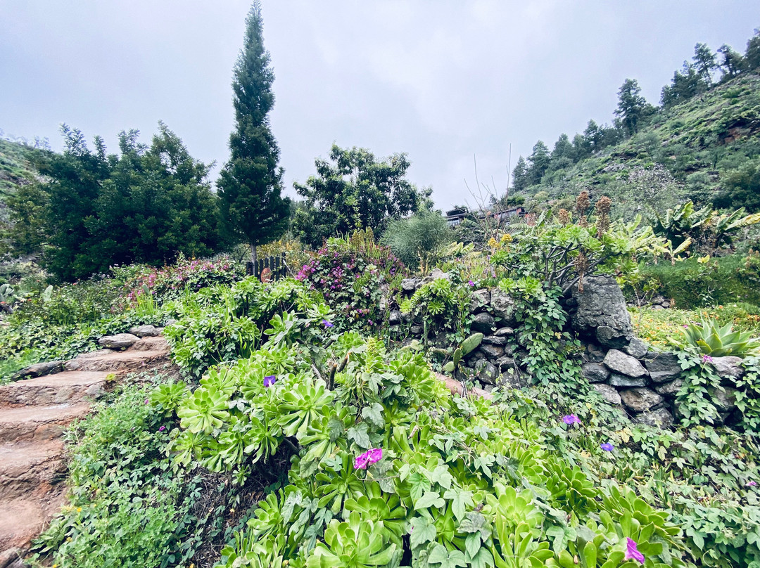 Vidyamor Yoga Retreats Canary Islands景点图片