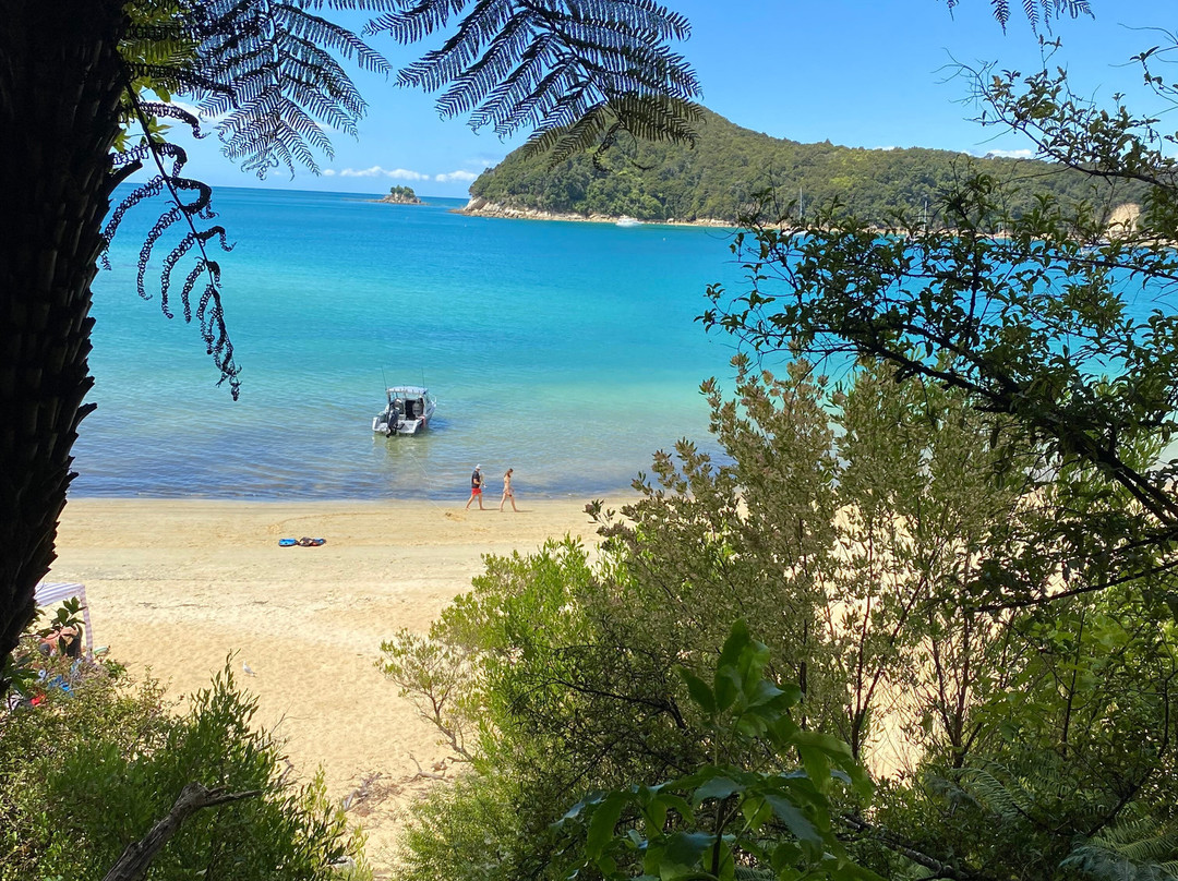 Abel Tasman Sea Shuttle Ltd-莫图伊卡必去景点