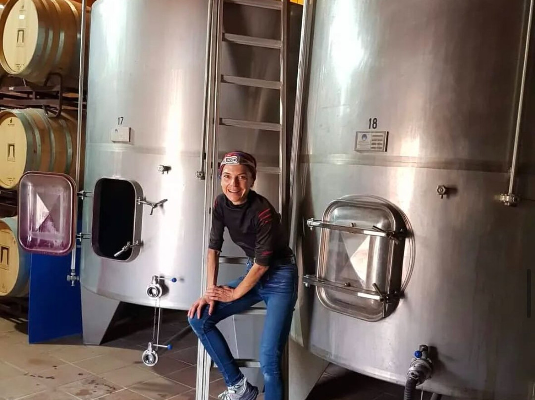 Viñedos & Bodega Marcelino Serrano景点图片