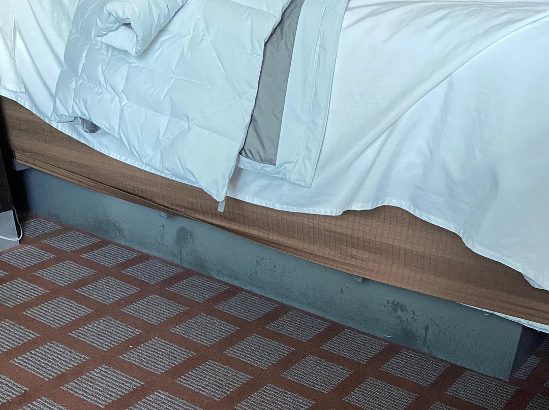 La Quinta Inn & Suites by Wyndham Indianapolis Airport West主图