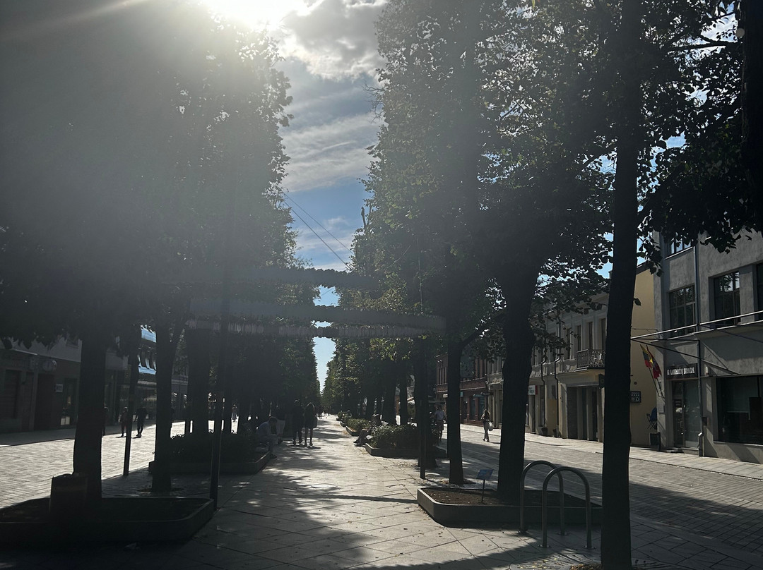 Kaunas Old Town-考那斯必去景点