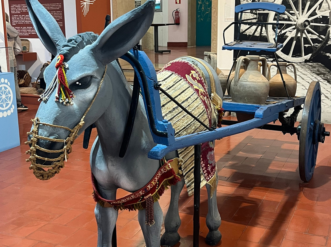 Museu Regional do Algarve-法罗必去景点