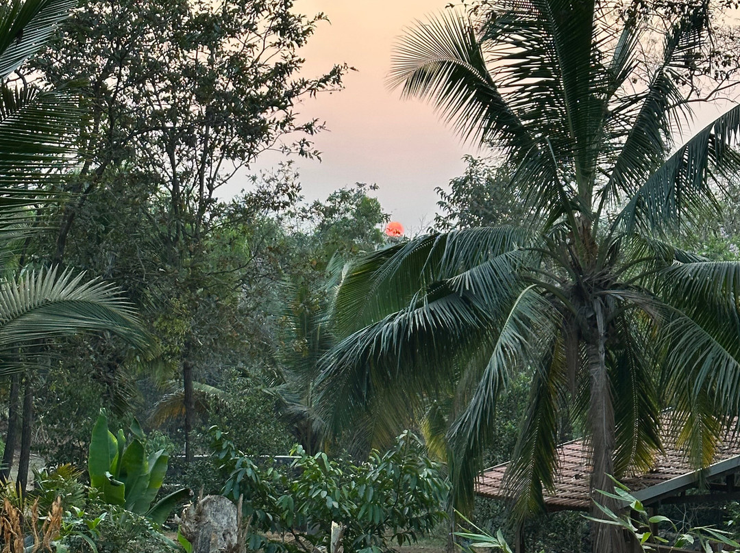 萨马利蕨类度假村主图