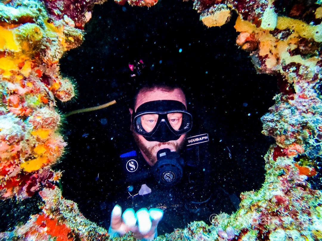 Horizon Divers-拉哥岛必去景点