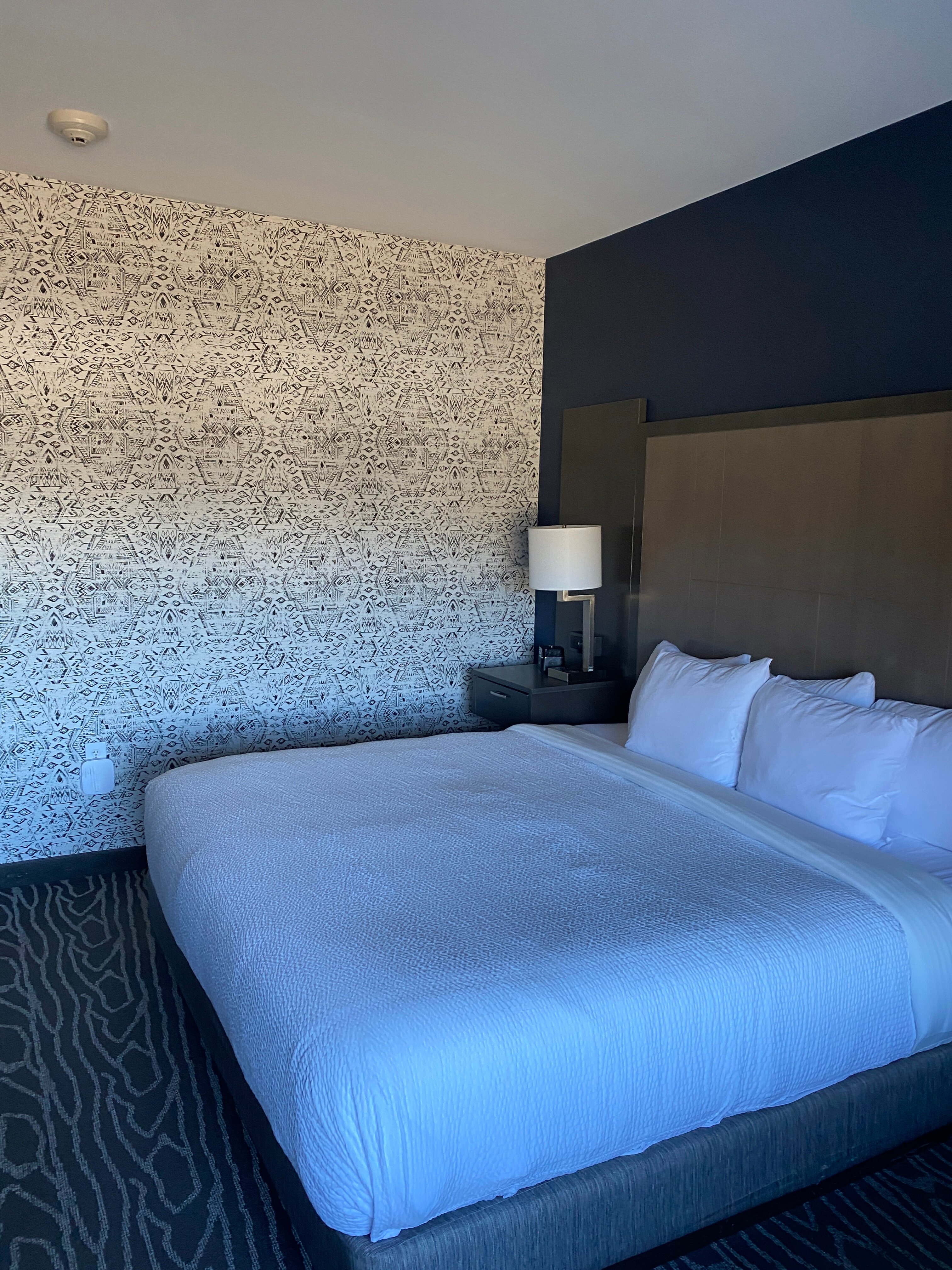 La Quinta Inn & Suites by Wyndham Rock Hill-客卧