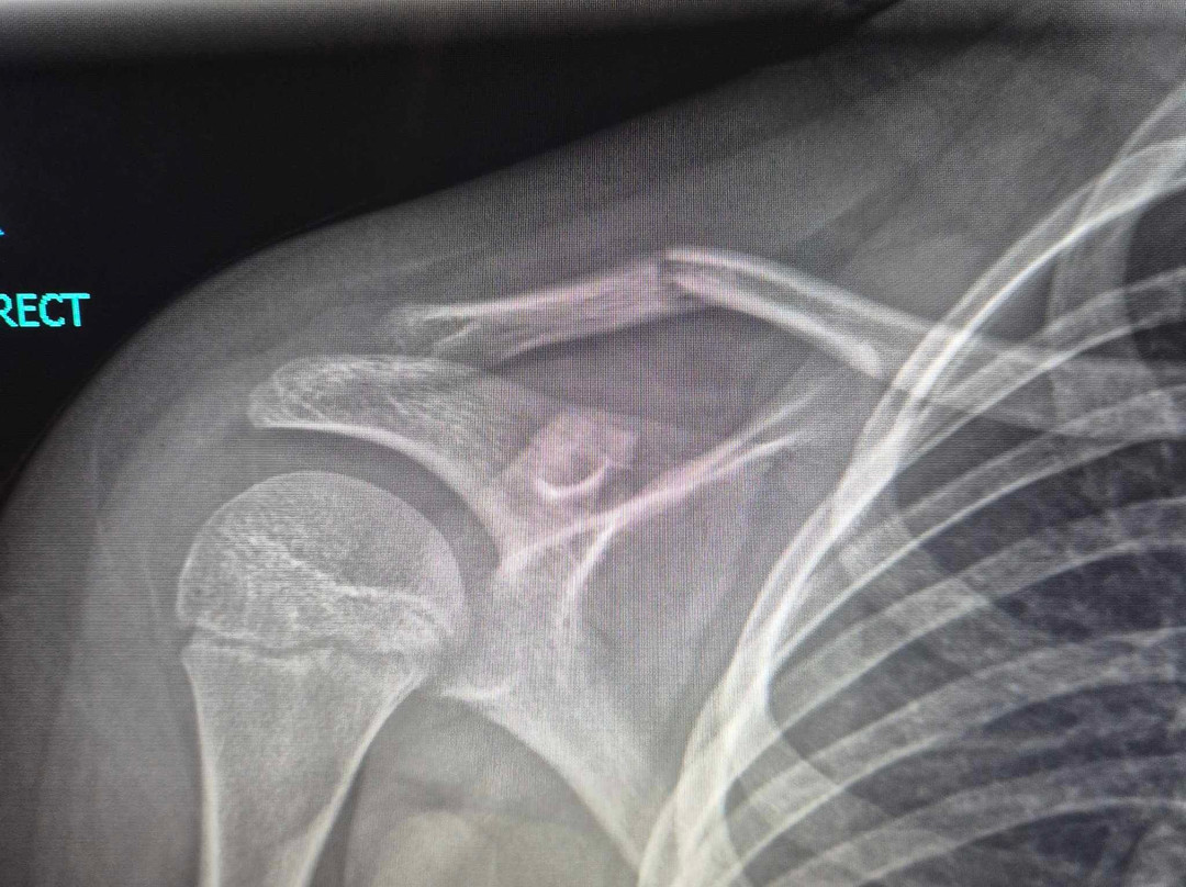 Karamu Trail Track-汉密尔顿必去景点