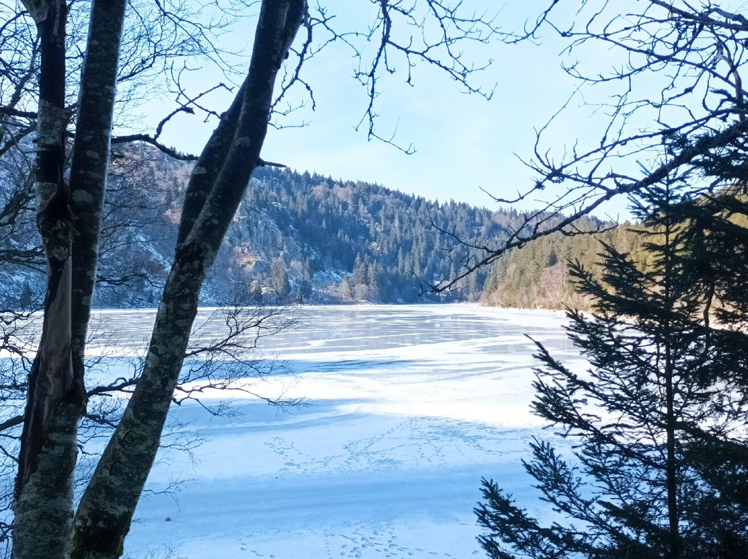 Residence Goelia Le Domaine Du Golf主图