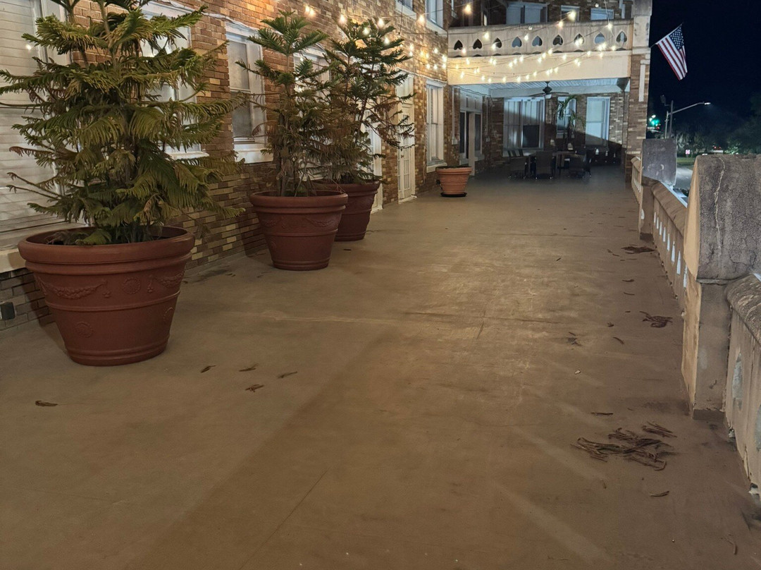 The Hotel Jacaranda主图