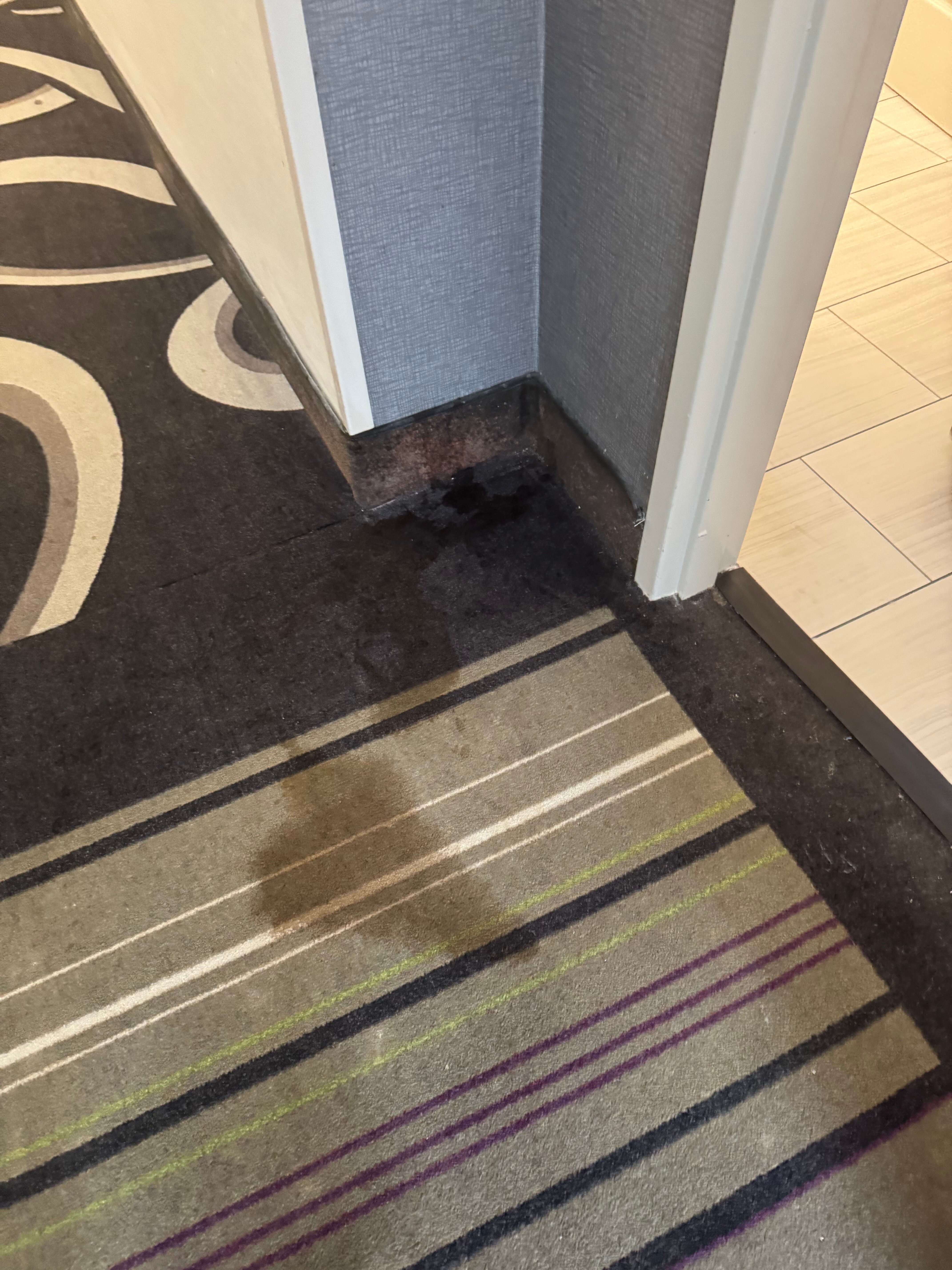 La Quinta Inn & Suites by Wyndham Savannah Airport - Pooler-官方