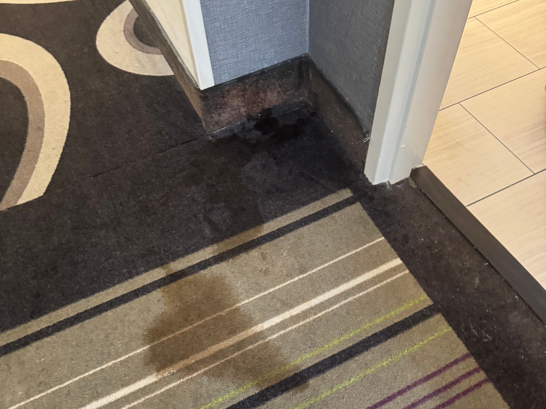 La Quinta Inn & Suites by Wyndham Savannah Airport - Pooler主图