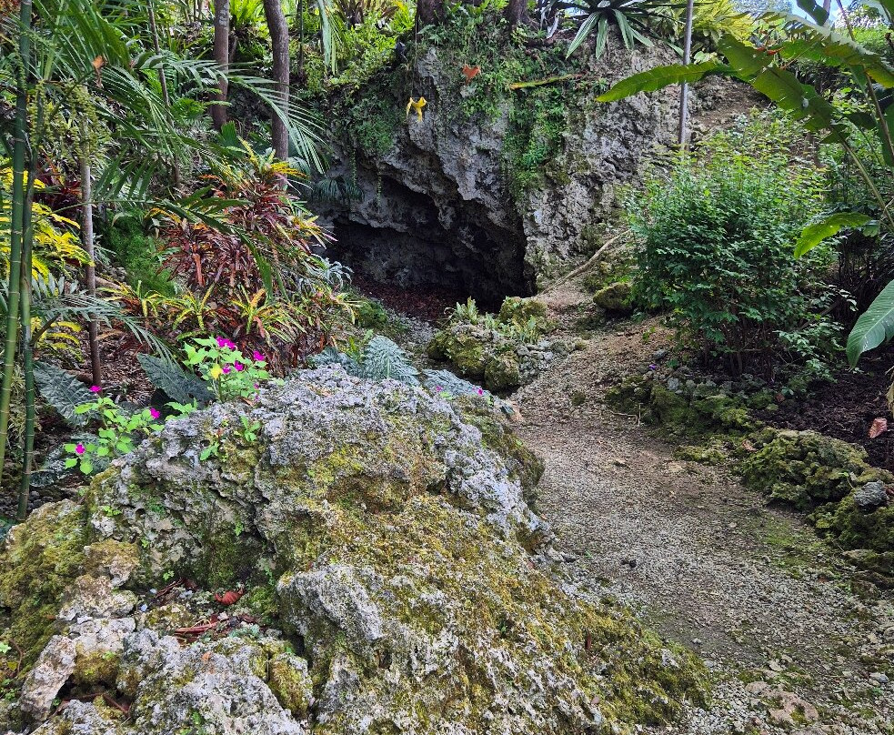Tropical Garden Barbados-Saint George Parish必去景点
