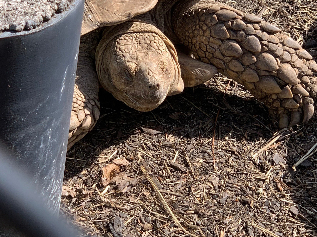 Noah's Ark Rehabilitation Center-Locust Grove必去景点