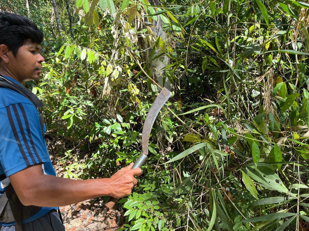 Ratanakiri Farmhouse and Trekking-邦隆必去景点