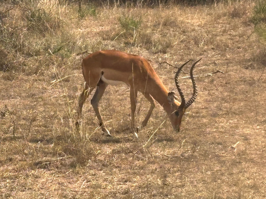 Hope Tours Africa-吉佳利必去景点