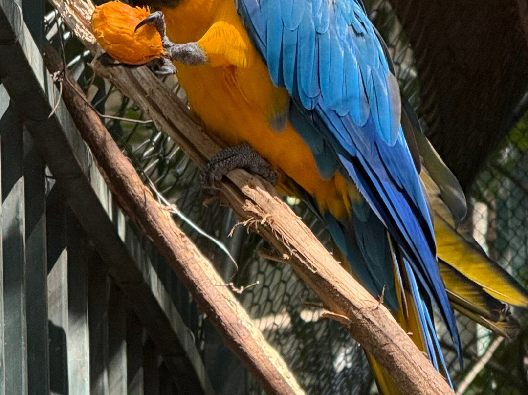 Parque Ecologico Yvaga Guazu - Paraiso Grande-圣克鲁斯省必去景点