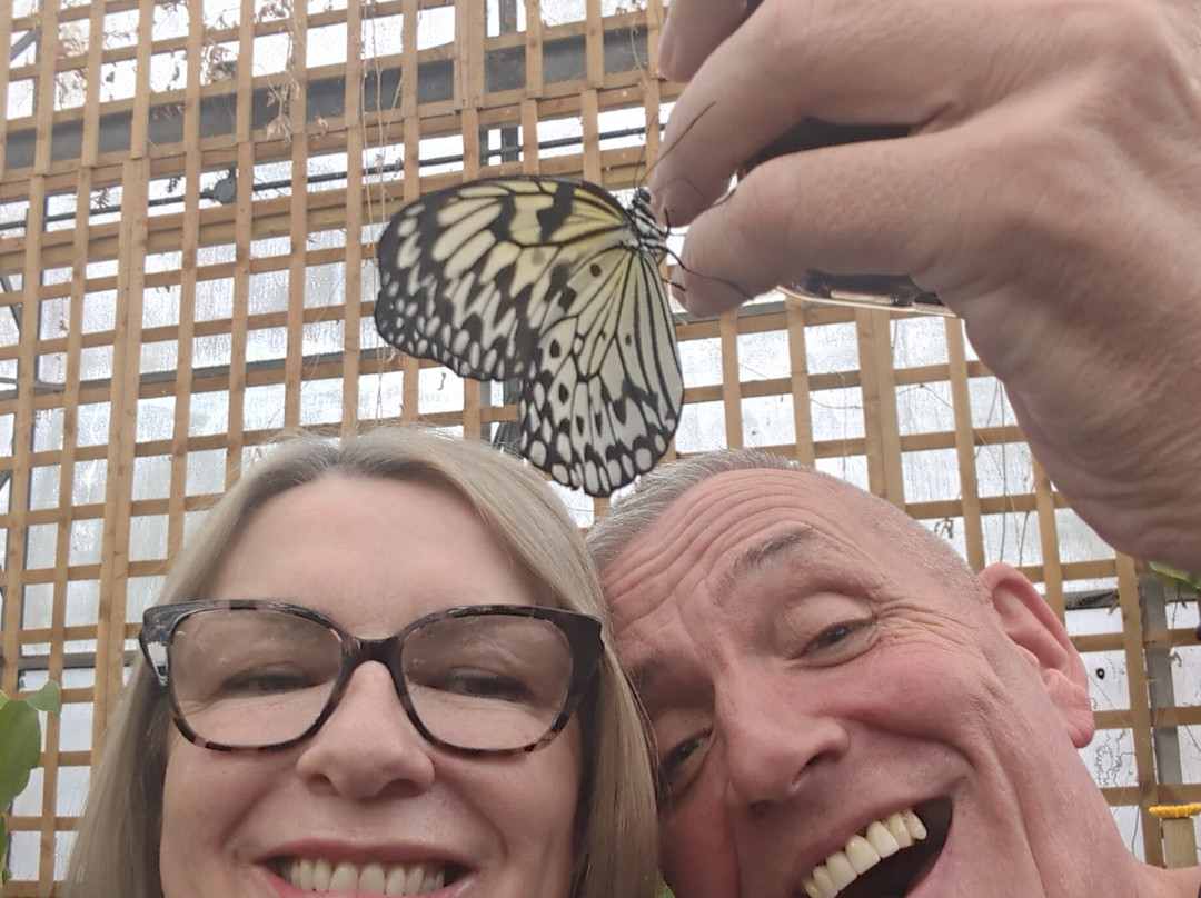 The London Butterfly Gardens景点图片