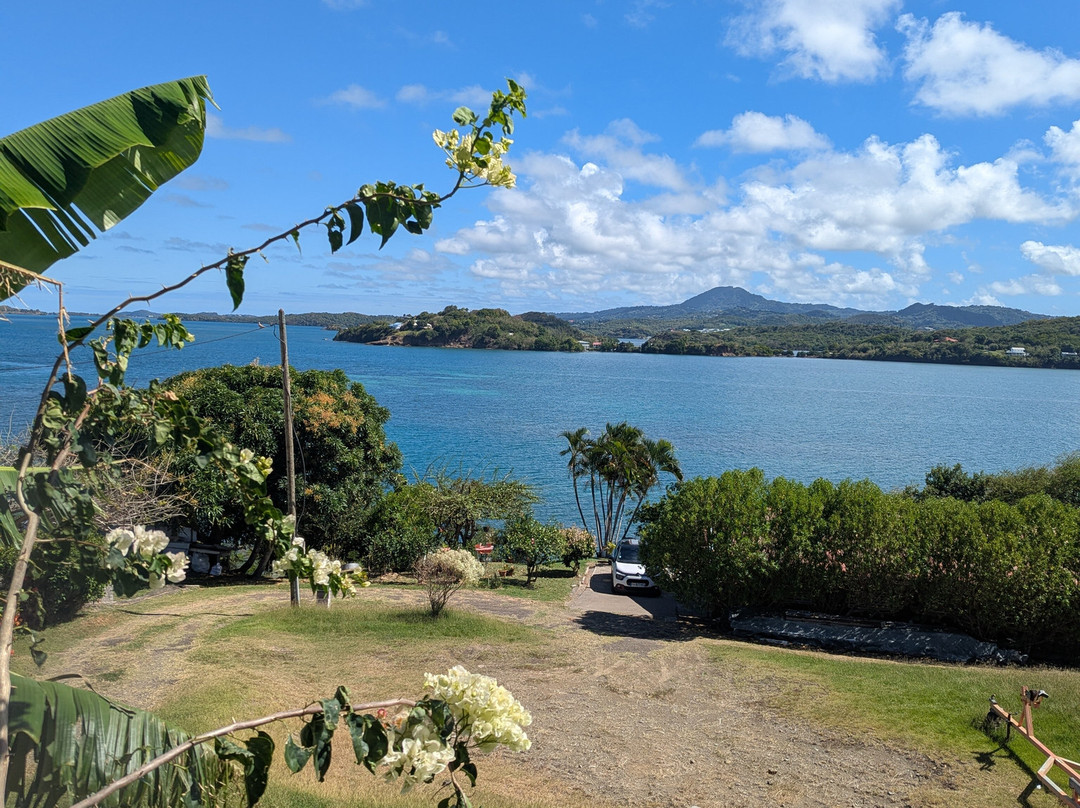 Matt'Excursions Nautiques-Le Francois必去景点