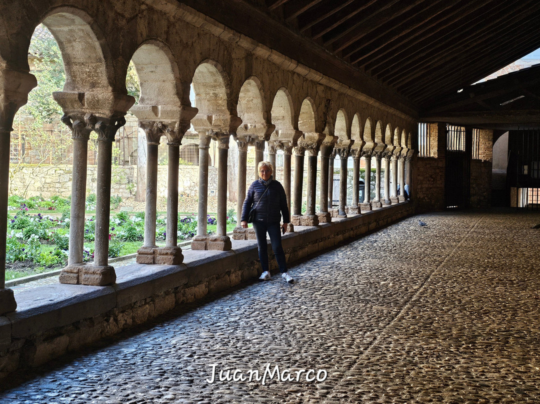 Cloitre de la Collegiale Saint Salvy-阿尔比必去景点
