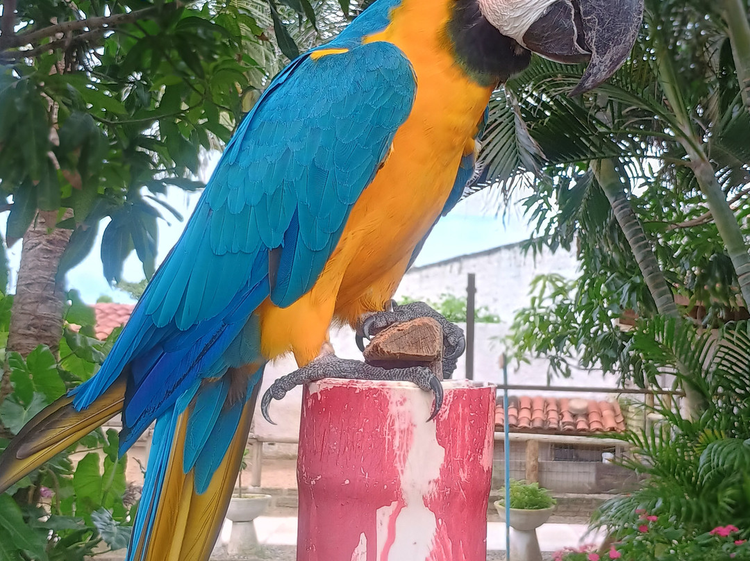 Pousada Casa do Alemao主图