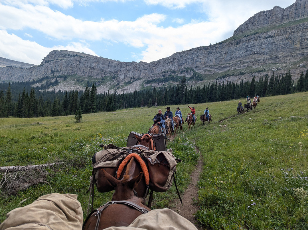 A Lazy H Outfitters-Choteau必去景点
