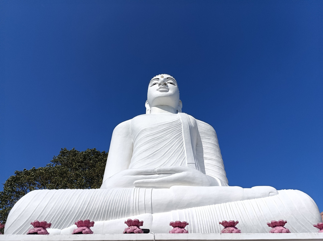 Ayaan Tours Sri Lanka-Katukurunda必去景点