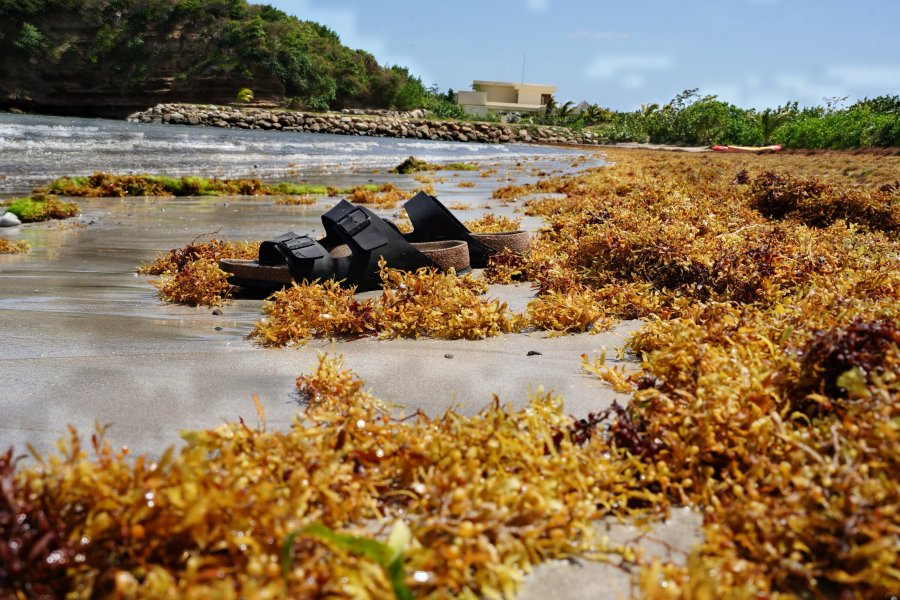 拉萨热斯酒店, 酒店和海滩酒吧-泳池