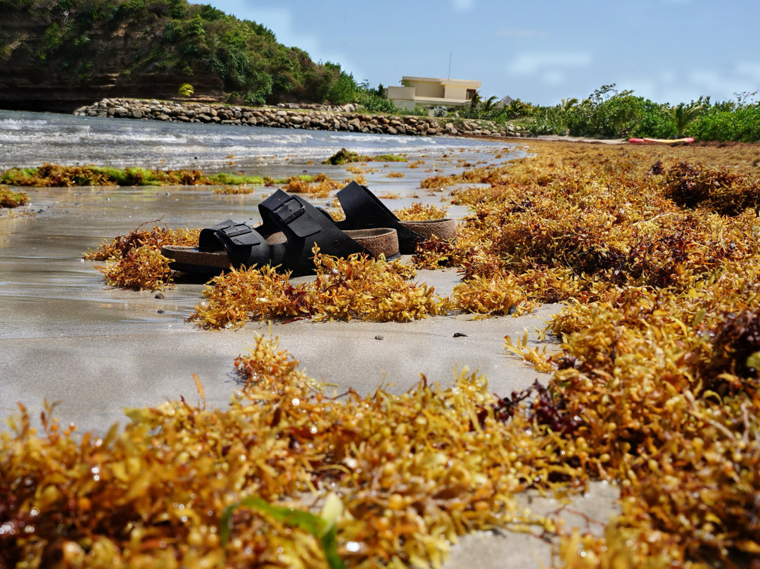 La Sagesse Hotel, Restaurant & Beach Bar主图