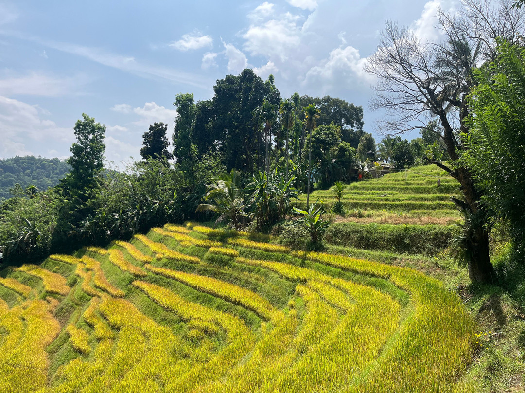Heeloya Mountview Garden-Heeloya必去景点