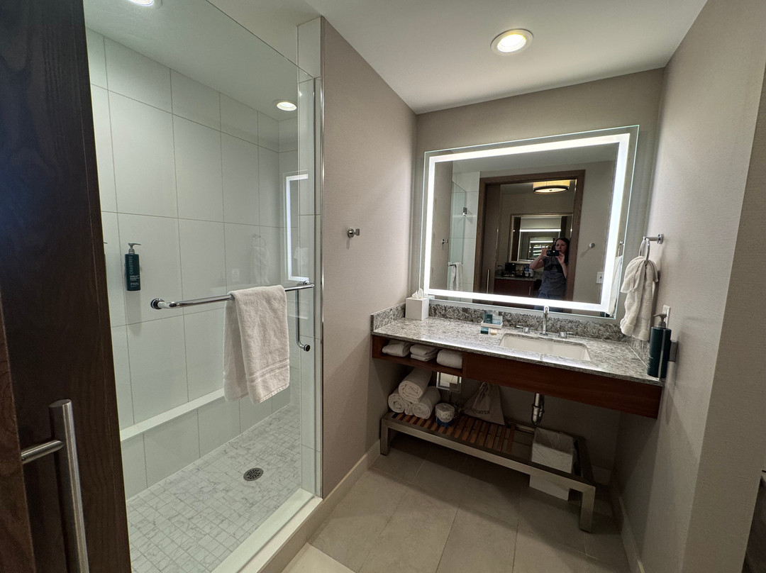 Hilton Rochester Mayo Clinic Area主图