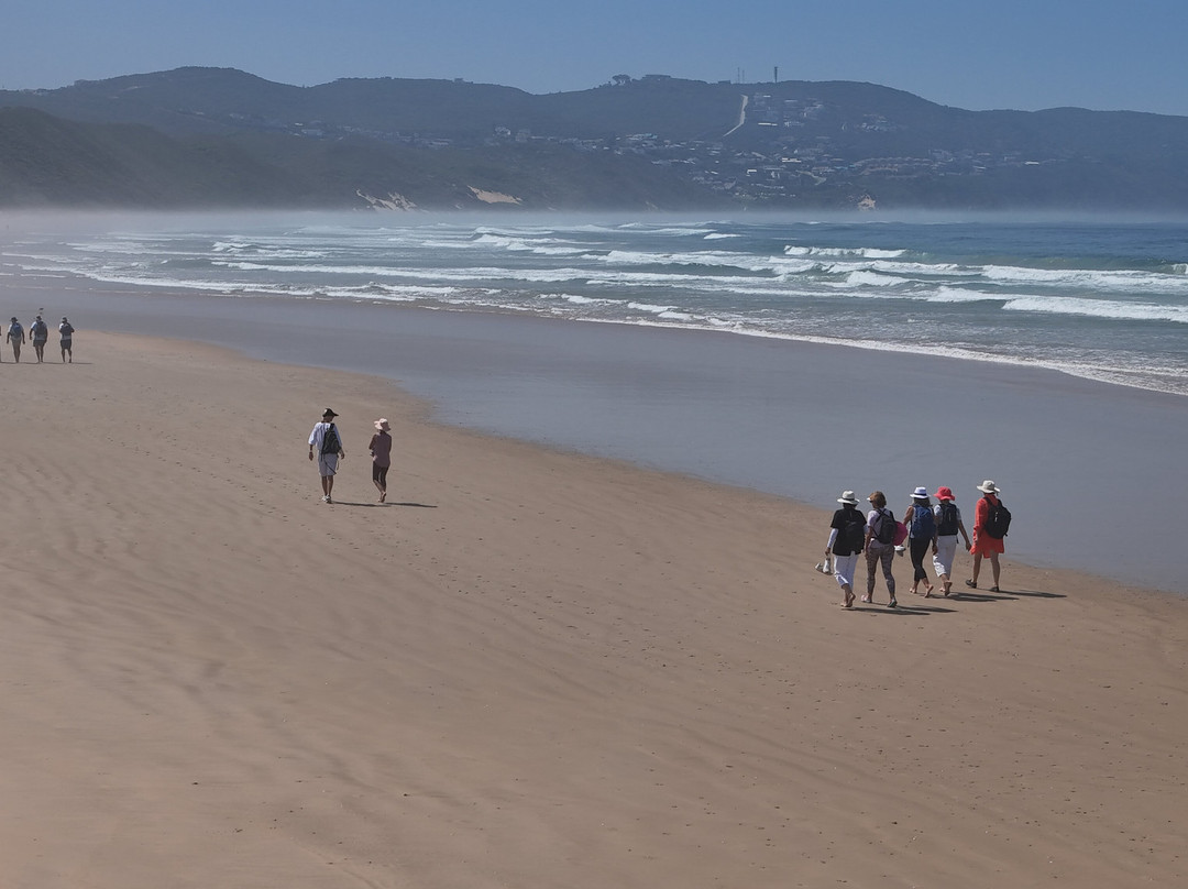 Garden Route Trail-荒野必去景点