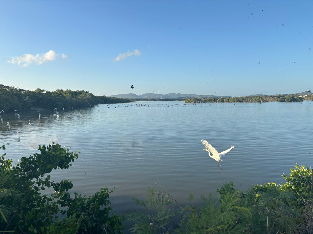 Pelican Safari Tours - Day Tours景点图片