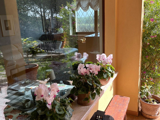 Belsit Bed & Breakfast主图