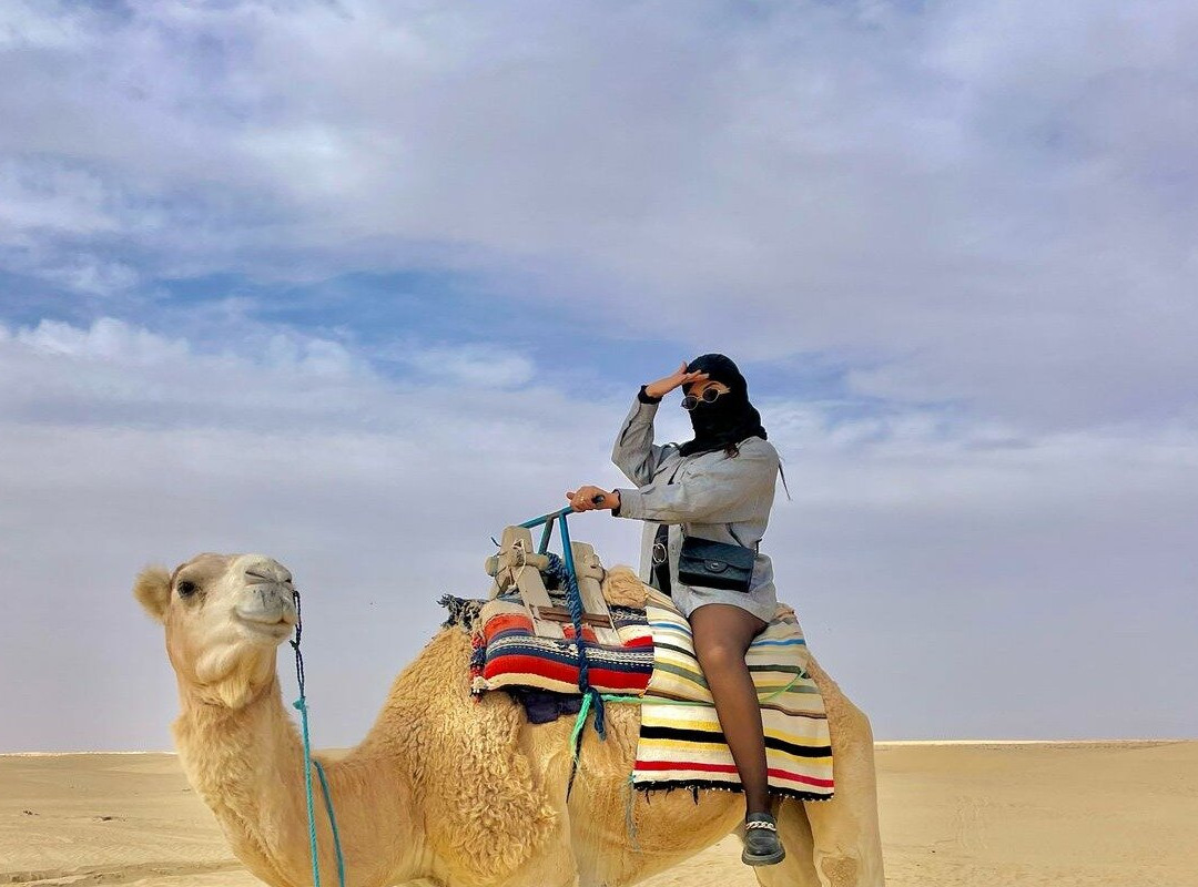 Alkhayal-Discover Tunisia