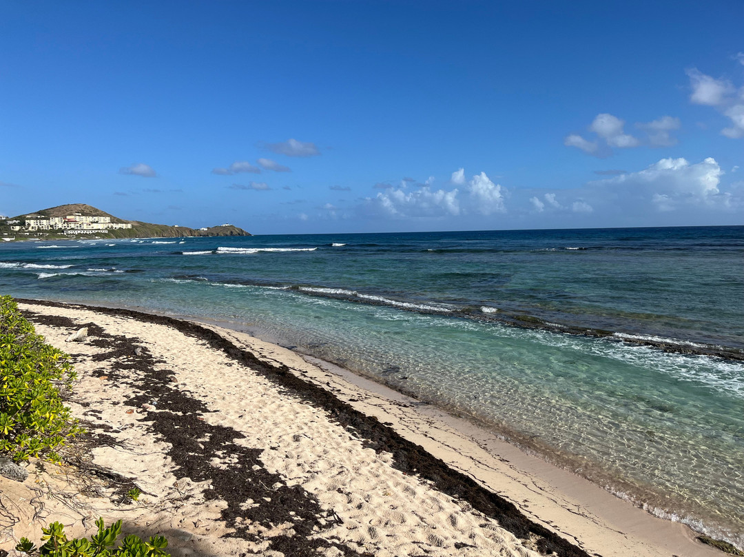 The Palms at Pelican Cove主图