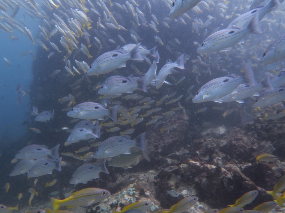 Infinity Divers-普吉岛必去景点