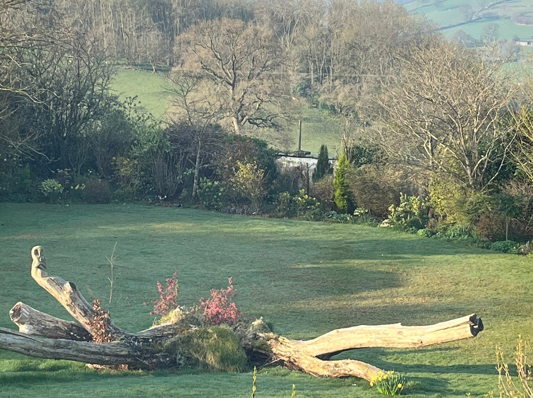Pentre Cerrig Country House主图