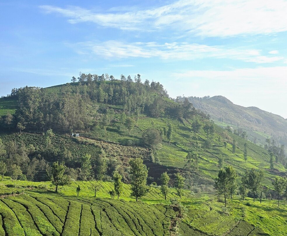 Lynfields Leisure主图