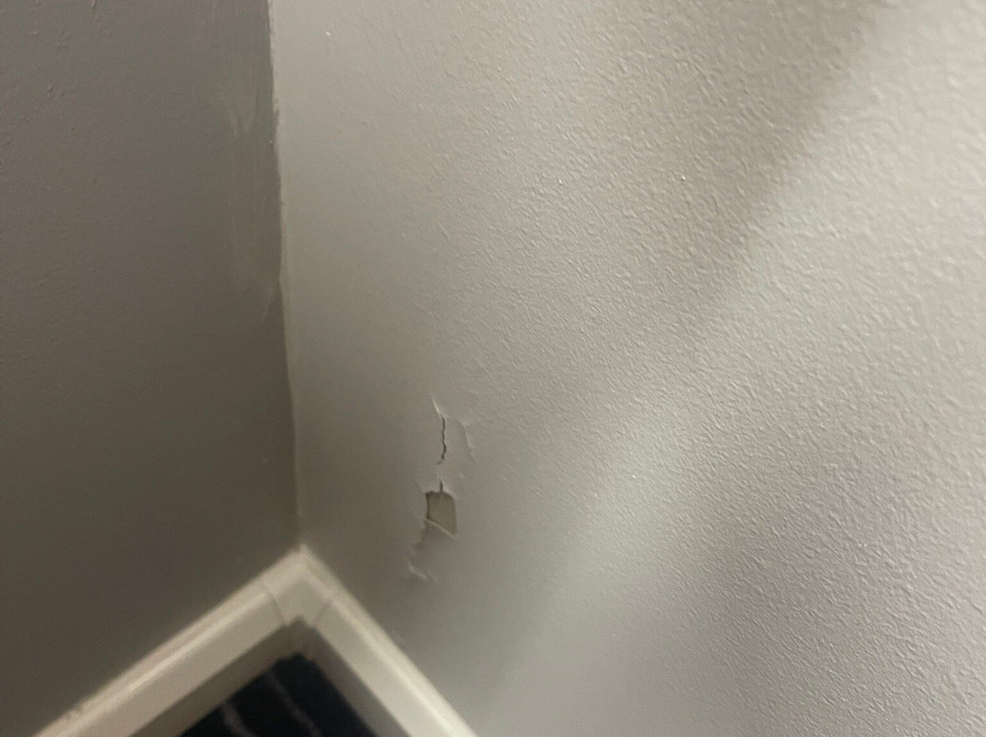 伦敦克罗伊登智选假日酒店主图