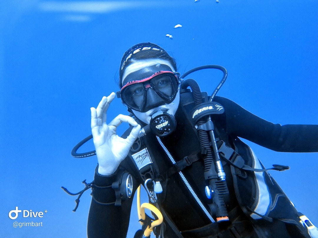 Marina di Campo Diving-Marina di Campo必去景点