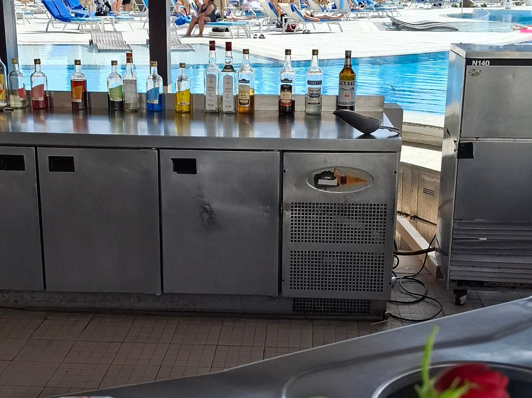 Pool And Swim Up Bar