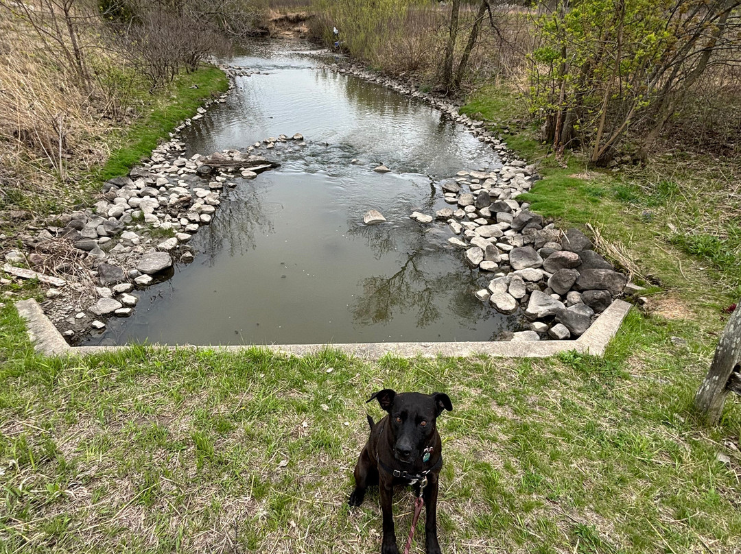 Techny Basin Conservation Area-格伦维尤必去景点