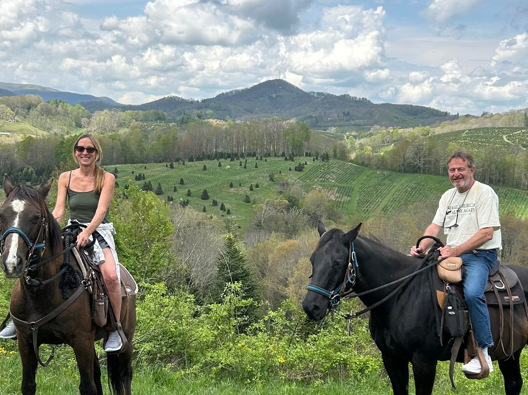 Elk Mountain Riding Company-Newland必去景点