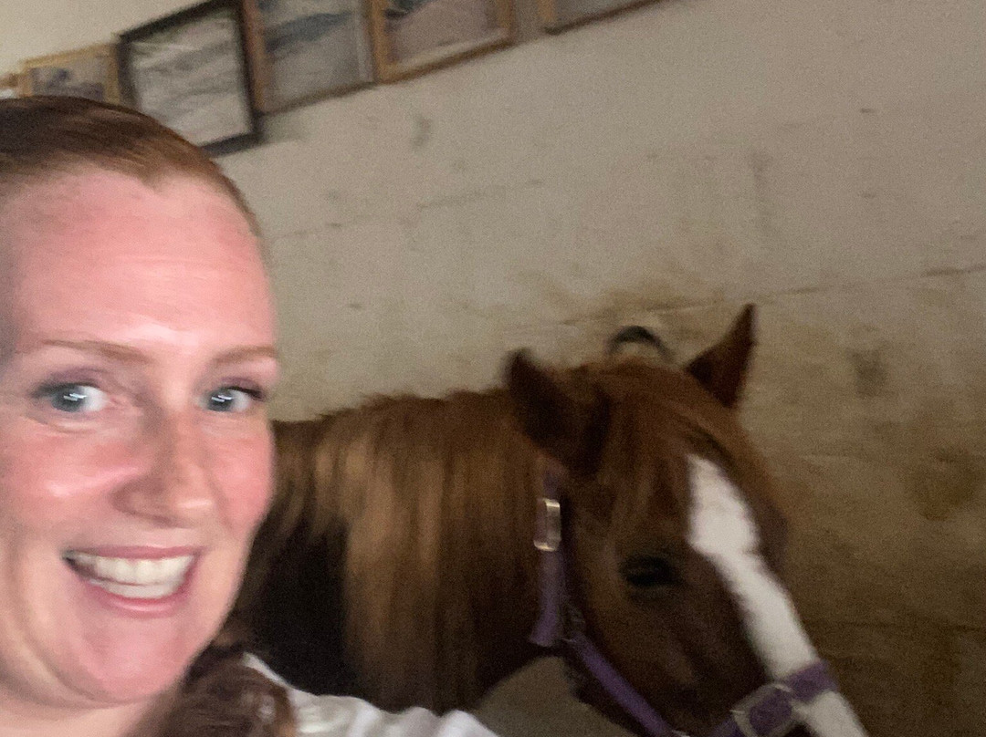 Lino's Stables-Xaghra必去景点