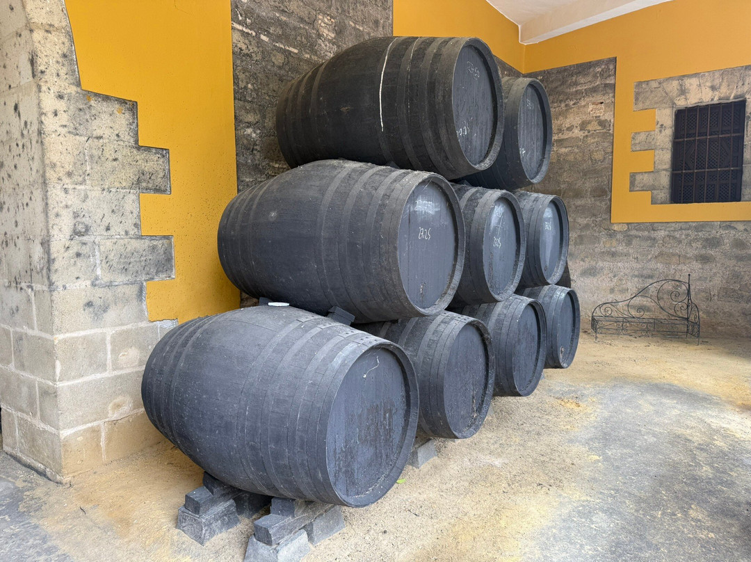 Bodegas y viñedos Díez Mérito-赫雷斯德拉弗隆特拉必去景点