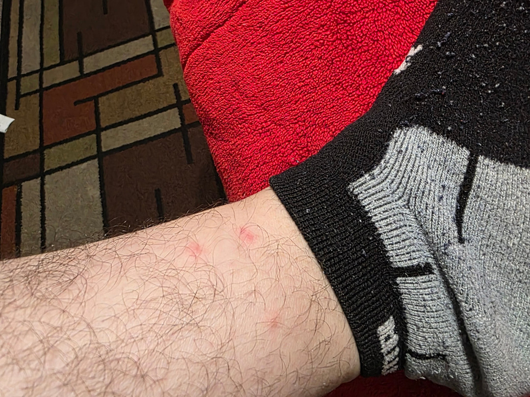 Best Western Rama Inn主图