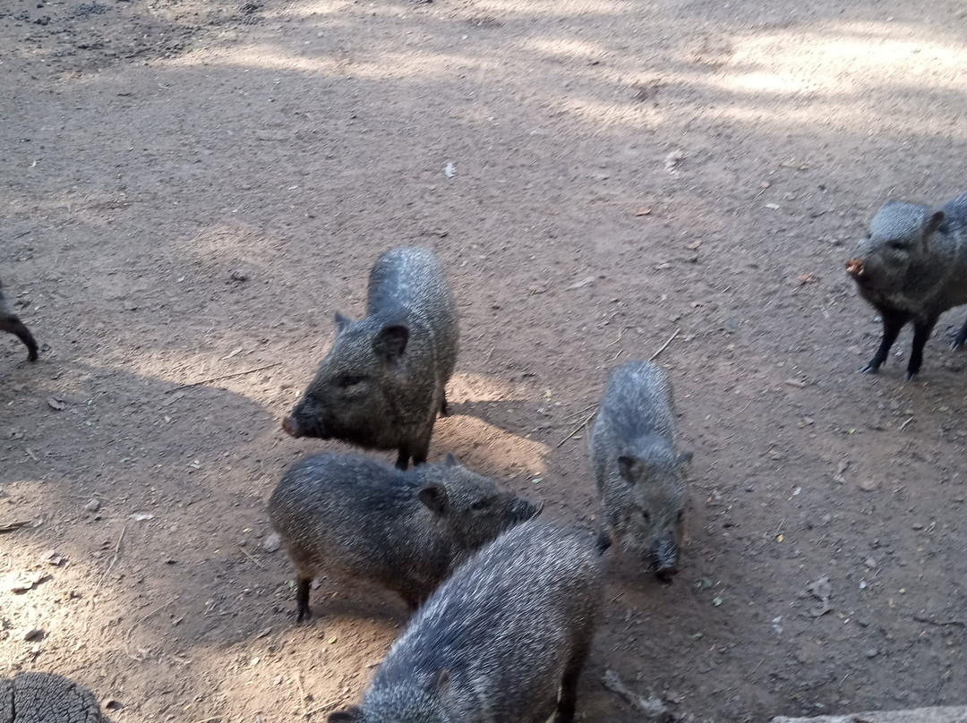 Eco de América-América必去景点